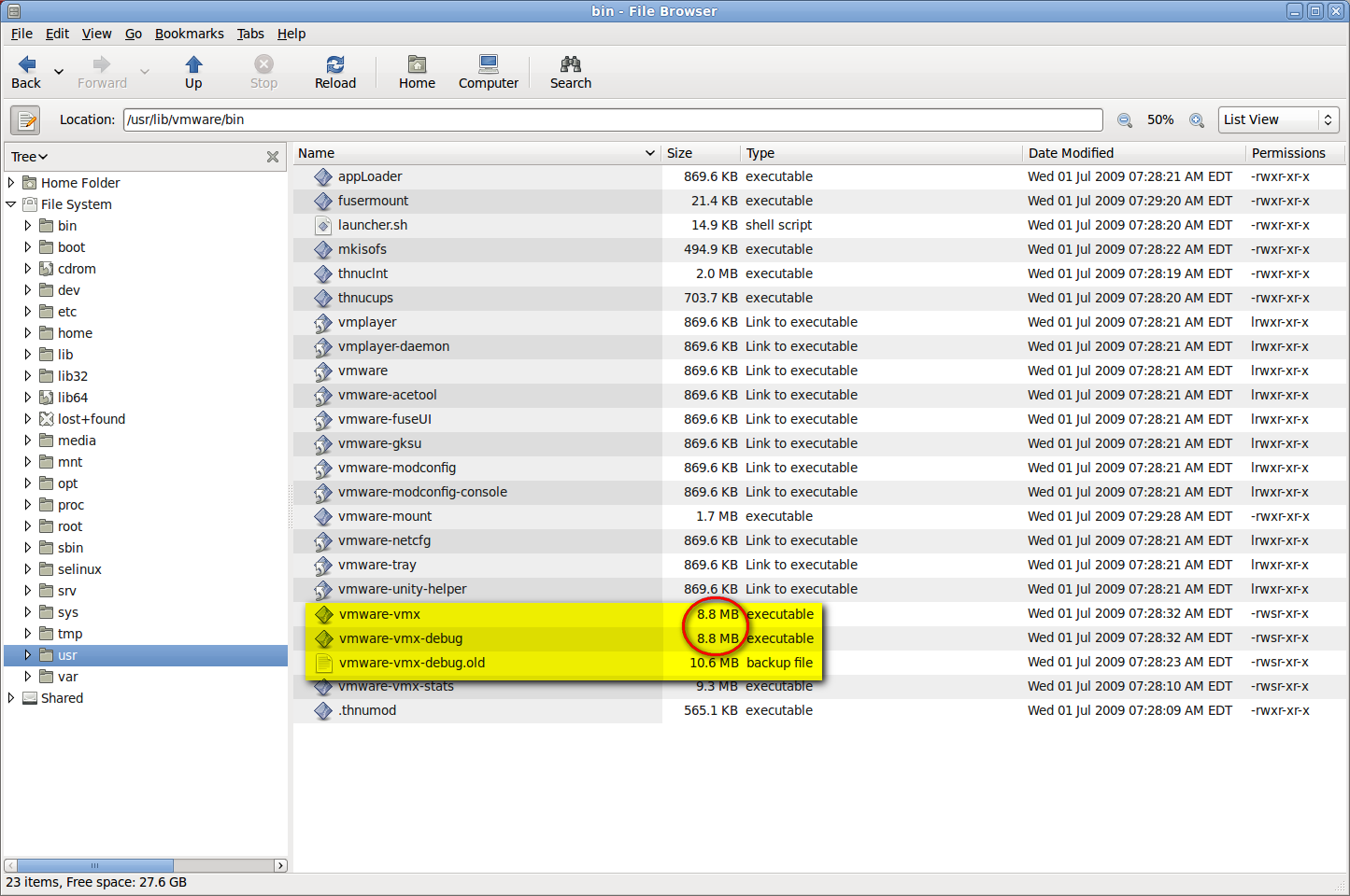The Result After Renaming the Files